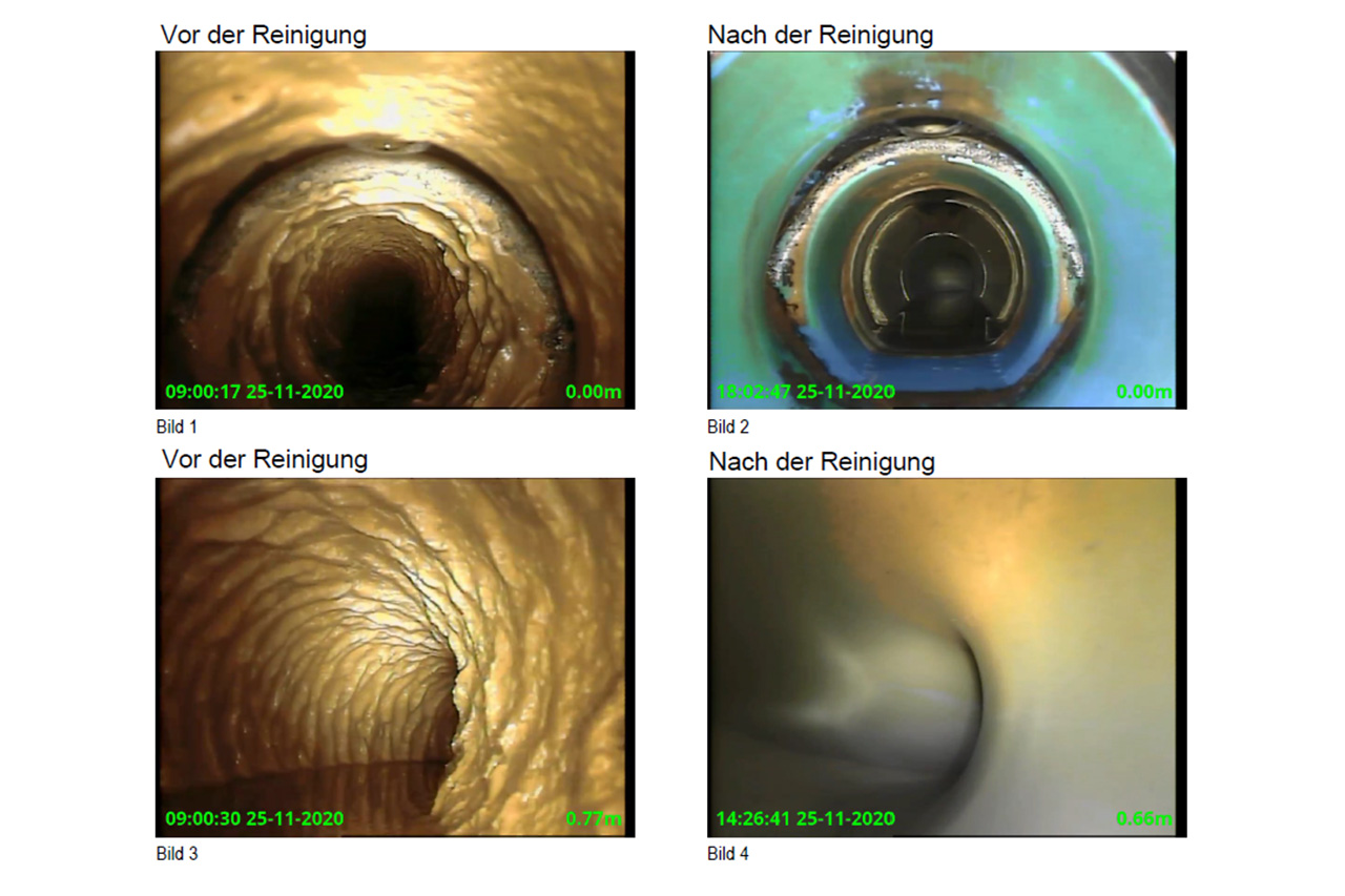 Dokumentation-vor-nach-Molch-Reinigung